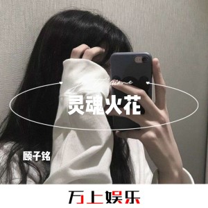 Album 灵魂火花 from 顾子铭