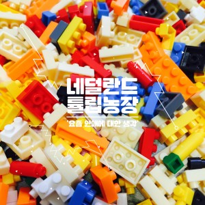 Dengarkan lagu Kerasys nyanyian 네덜란드 튤립농장 dengan lirik