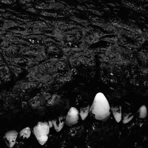 收聽BVSIS的Mamba歌詞歌曲