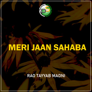 Listen to Meri Jaan Sahaba song with lyrics from Rao Tayyab Madni