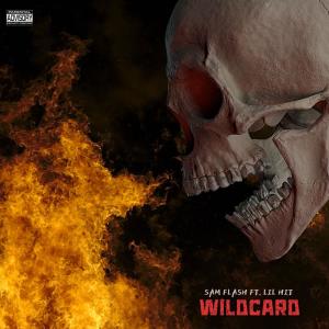 Listen to WILDCARD (Explicit) song with lyrics from Sam Flash
