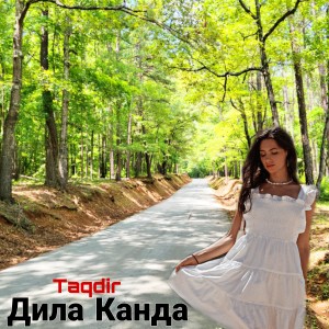 Album Дила Канда from Taqdir