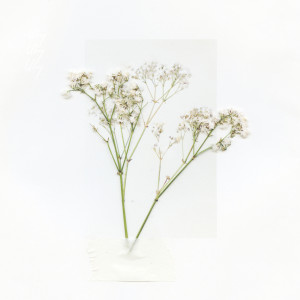 Album if you were a day, you'd be sunday (songs to go walking to) from Uly