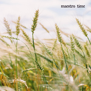 Album Soothing Classical Lullabies For Infants 35 from Maestro Time