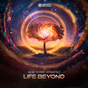 ดาวน์โหลดและฟังเพลง Life Beyond พร้อมเนื้อเพลงจาก Acid Sonic