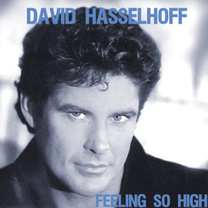 ดาวน์โหลดและฟังเพลง Feeling So High พร้อมเนื้อเพลงจาก David Hasselhoff