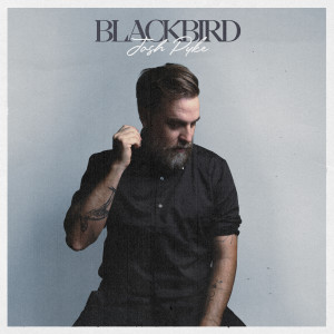Josh Pyke的專輯Blackbird