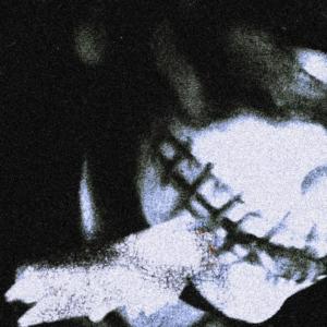 l i s t e n a b l e的专辑husk. (Explicit)