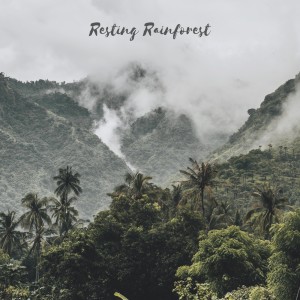 Listen to Resting Rainforest song with lyrics from Nature Hive