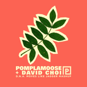 收聽Pomplamoose的D.N.A. Moves Like Jagger Mashup歌詞歌曲