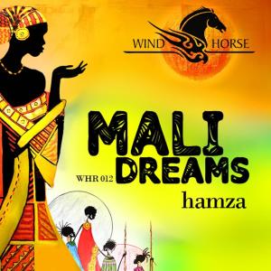 Dengarkan Dreamin Mali lagu dari Hamza dengan lirik