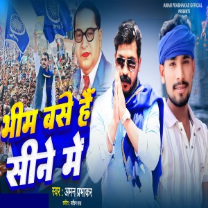 收聽Aman prabhakar的Bhim Base Mere Sene Me歌詞歌曲