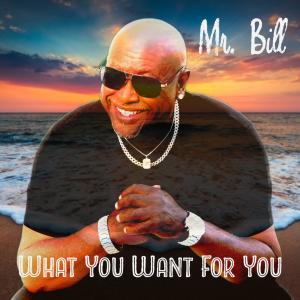 Mr Bill的專輯What You Want For You
