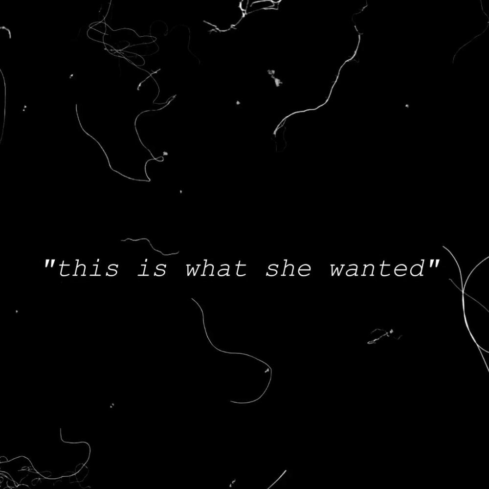 This is What She Wanted (Slowed + Reverbed) (Explicit)