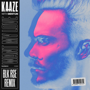 Album Want My Love (BLK RSE Remix) oleh Kaaze