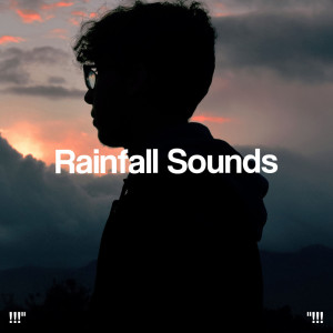 Album !!!" Rainfall Sounds "!!! oleh Rain Sounds