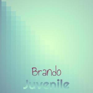 Album Brando Juvenile from Various