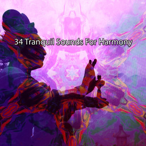 34 Tranquil Sounds For Harmony dari Calm Music