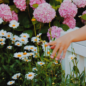 收聽Laundry Day的Jane歌詞歌曲