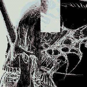 ดาวน์โหลดและฟังเพลง pro-war;non-profit พร้อมเนื้อเพลงจาก Spatial Manufacture Ltd.