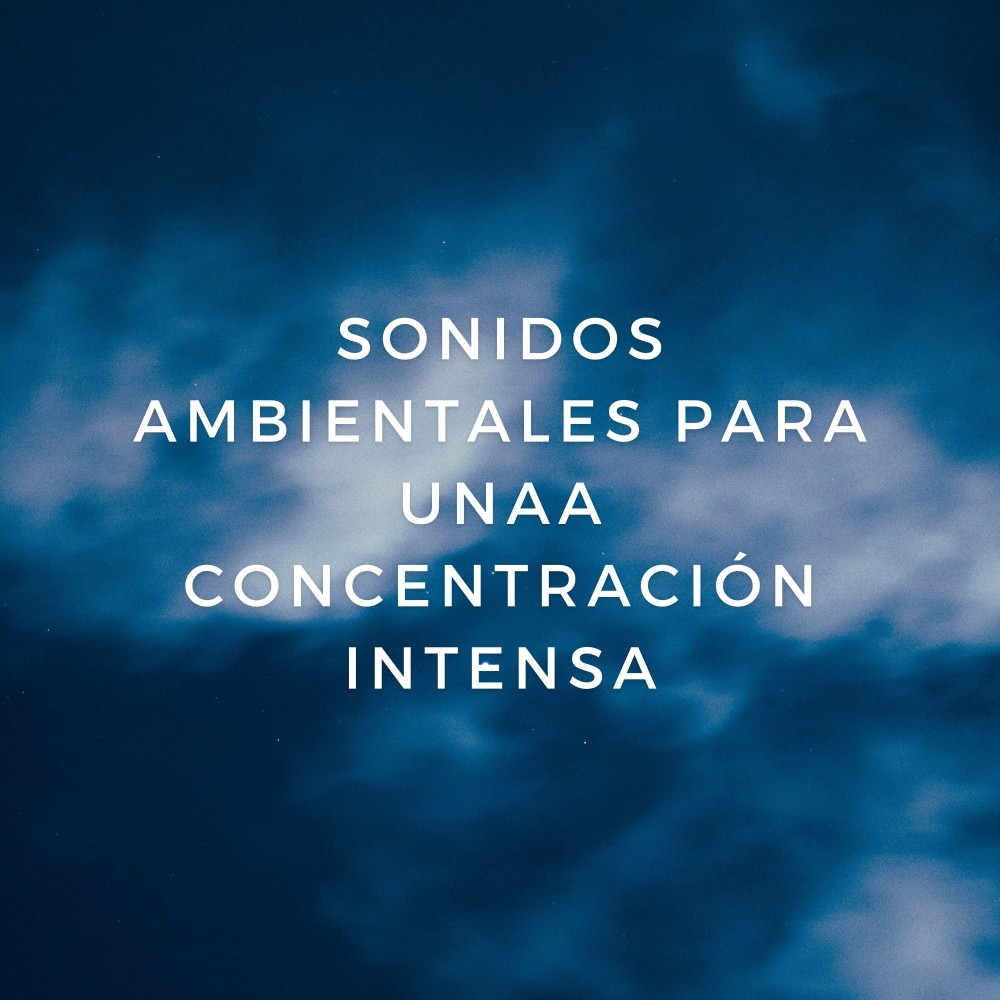 Viaje De Concentración En Estilo Zen Bajo La Lluvia