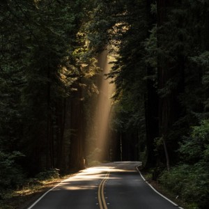 ดาวน์โหลดและฟังเพลง Harrow Road พร้อมเนื้อเพลงจาก FEYI