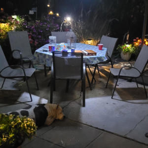 Joshiguess的專輯treachery (feat. lil booj & Yokai Dreams) [Explicit]