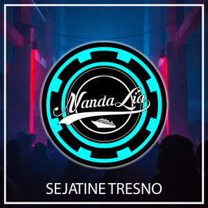 Nanda Lia的專輯Sejatine Tresno