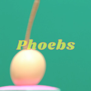 Album Sundried from Phoebs