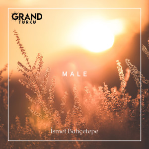 Album Male from İsmet Bahçetepe