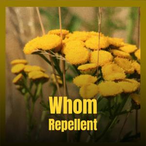 Album Whom Repellent from Various
