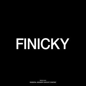 ดาวน์โหลดและฟังเพลง FINICKY (Explicit) พร้อมเนื้อเพลงจาก KAS