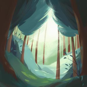 Album forest illuminations from 