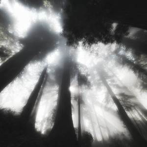 ดาวน์โหลดและฟังเพลง ss (Instrumental) พร้อมเนื้อเพลงจาก XXKATUSJINSUX