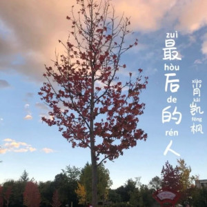 Listen to 我会是你最爱的人吗 (完整版) song with lyrics from 凯枫