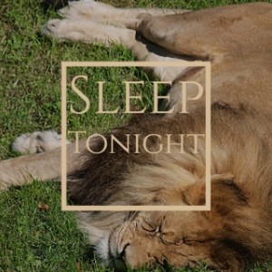 Various Artists的专辑Sleep Tonight