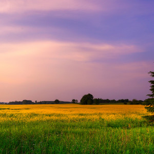 Dengarkan lagu 天路 (人生感悟版) nyanyian 李迩泰 dengan lirik