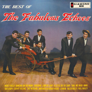 อัลบัม The Best Of The Fabulous Echoes ศิลปิน The Fabulous Echoes