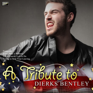 อัลบัม A Tribute to Dierks Bentley ศิลปิน Ameritz Karaoke Club