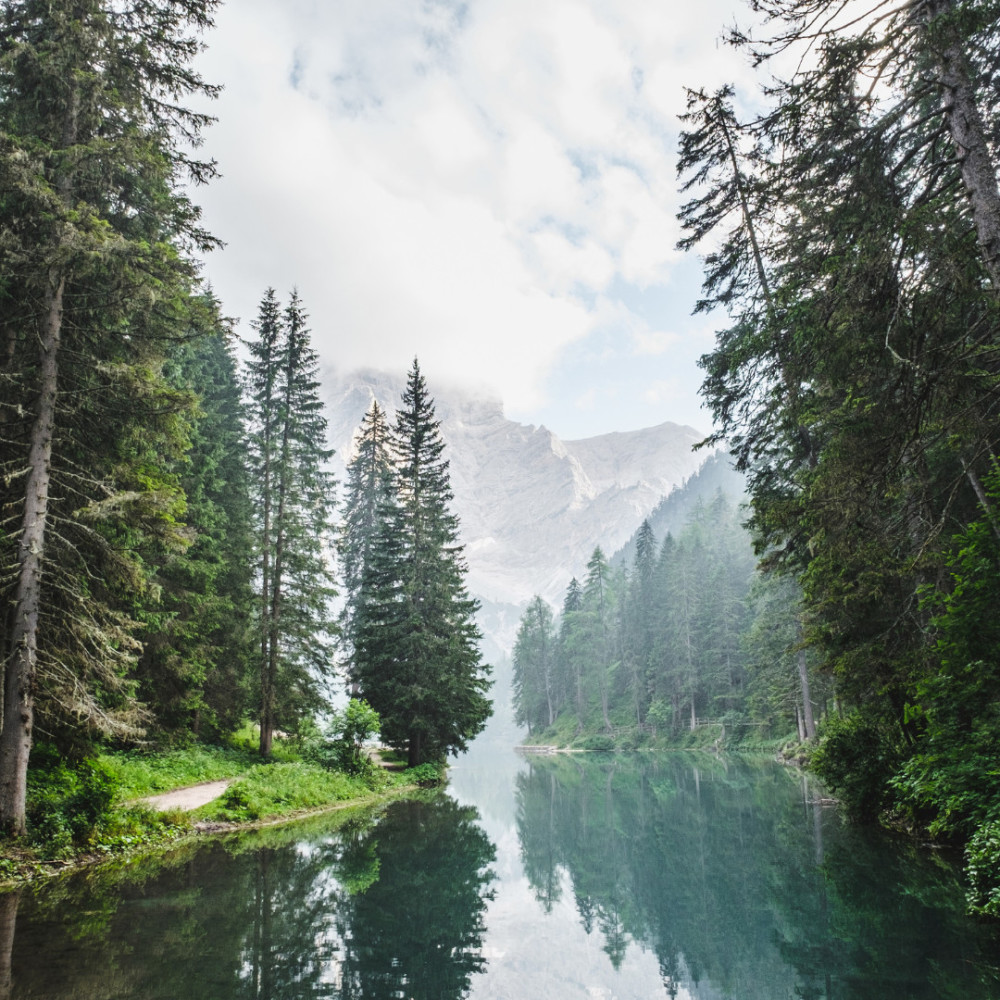 Melody of Nature's Flow