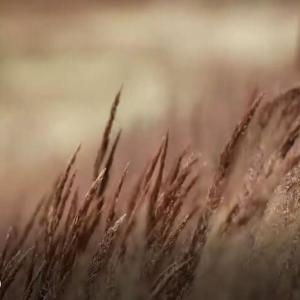 收聽Glen的Whisper In The Wind歌詞歌曲