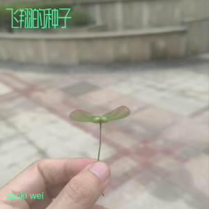 收聽zenki wei的飛翔的種子 (完整版)歌詞歌曲