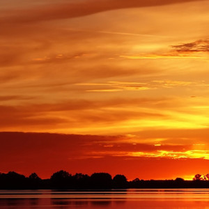 ดาวน์โหลดและฟังเพลง 人过五十五 พร้อมเนื้อเพลงจาก 李迩泰