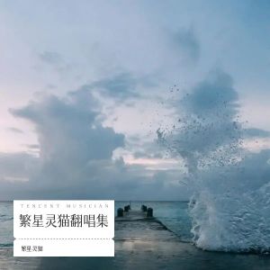 李臣寶的專輯翻唱
