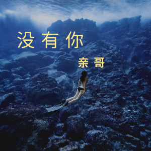Listen to 没有你 song with lyrics from 亲哥