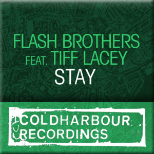 Flash Brothers的专辑Stay