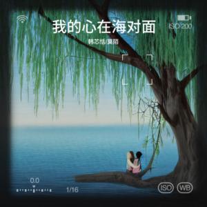 Listen to 我的心在海对面 (cover: 杨栋梁|夏婉安) (完整版) song with lyrics from 韩芯恬