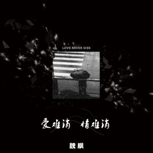 Listen to 爱难消情难消 (伴奏) song with lyrics from 魏枫