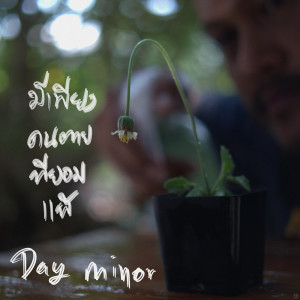 Album มีเพียงคนตายที่ยอมแพ้ from Day Minor