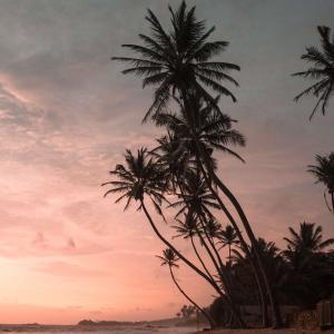 收聽T.RiP的Skank (Explicit)歌詞歌曲